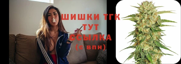 apvp Верея