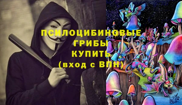 apvp Верея